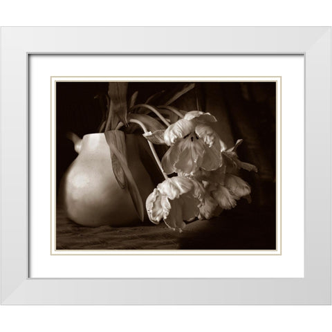 Sepia tone Tulips White Modern Wood Framed Art Print with Double Matting by Miller, Anna