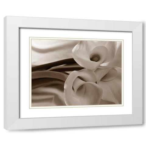 Sepia tone Calla Lily White Modern Wood Framed Art Print with Double Matting by Miller, Anna