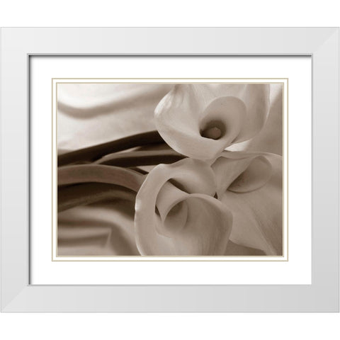 Sepia tone Calla Lily White Modern Wood Framed Art Print with Double Matting by Miller, Anna