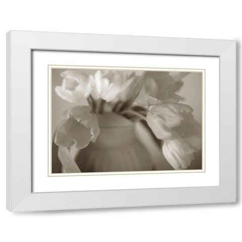 Sepia tone Tulips White Modern Wood Framed Art Print with Double Matting by Miller, Anna