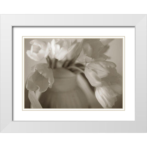 Sepia tone Tulips White Modern Wood Framed Art Print with Double Matting by Miller, Anna