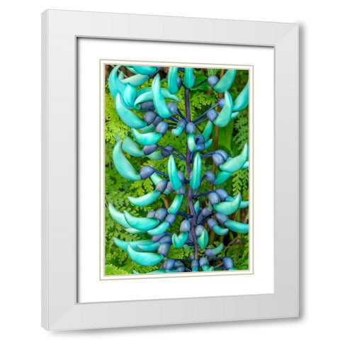 Jade vine White Modern Wood Framed Art Print with Double Matting by Engelbrecht, Jim