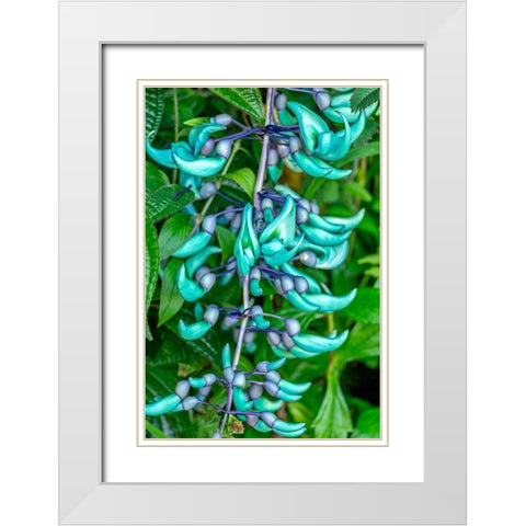 Jade vine White Modern Wood Framed Art Print with Double Matting by Engelbrecht, Lisa S.