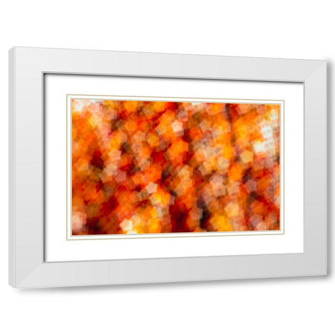 Colorful fabric detail White Modern Wood Framed Art Print with Double Matting by Muench, Zandria