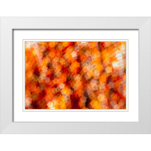 Colorful fabric detail White Modern Wood Framed Art Print with Double Matting by Muench, Zandria