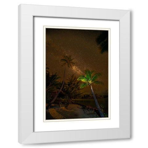 French Polynesia- Tahaa. Palm trees and night sky with Milky Way. White Modern Wood Framed Art Print with Double Matting by Jaynes Gallery
