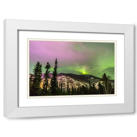 Alaska-Fairbanks Aurora borealis over mountain landscape White Modern Wood Framed Art Print with Double Matting by Jaynes Gallery