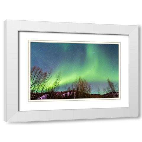 Alaska-Fairbanks Aurora borealis over mountain landscape White Modern Wood Framed Art Print with Double Matting by Jaynes Gallery