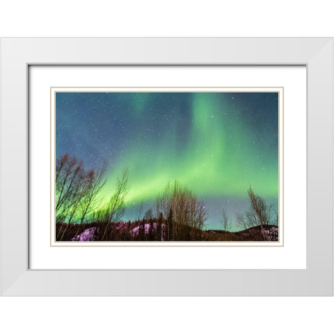 Alaska-Fairbanks Aurora borealis over mountain landscape White Modern Wood Framed Art Print with Double Matting by Jaynes Gallery