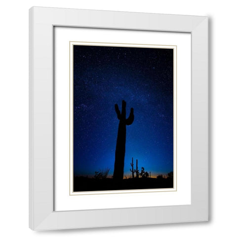 A giant saguaro cactus silhouettes in the clear Arizona evening White Modern Wood Framed Art Print with Double Matting by SMO