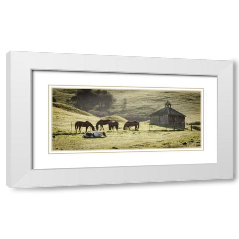USA, California, Olema Horses and old barn White Modern Wood Framed Art Print with Double Matting by Paulson, Don