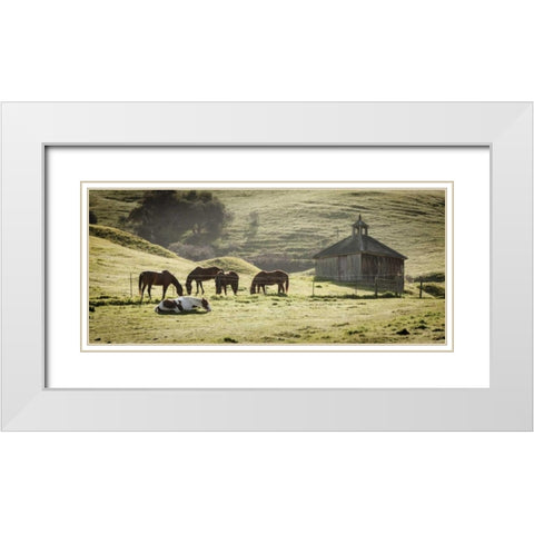 USA, California, Olema Horses and old barn White Modern Wood Framed Art Print with Double Matting by Paulson, Don