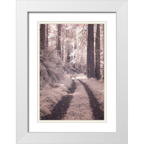 California Redwood National Park-infrared of Redwood forest along the old Pacific Highway White Modern Wood Framed Art Print with Double Matting by Eggers, Terry