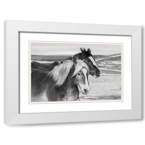 USA-Colorado-Westcliffe Music Meadows Ranch Ranch horses in winter White Modern Wood Framed Art Print with Double Matting by Hopkins, Cindy Miller