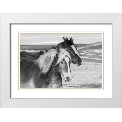 USA-Colorado-Westcliffe Music Meadows Ranch Ranch horses in winter White Modern Wood Framed Art Print with Double Matting by Hopkins, Cindy Miller