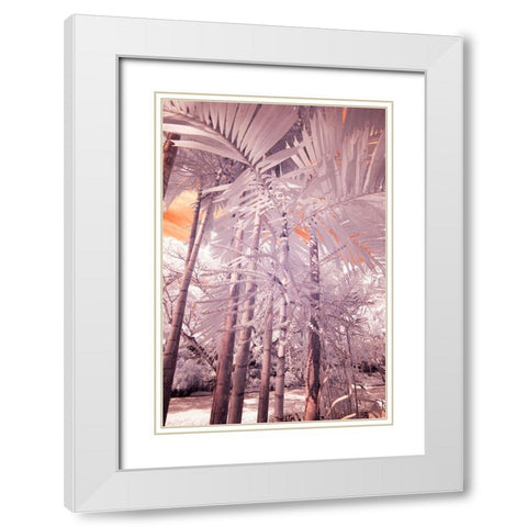 USA-Hawaii-Kauai-Infrared of palm trees of Kauai White Modern Wood Framed Art Print with Double Matting by Eggers, Terry