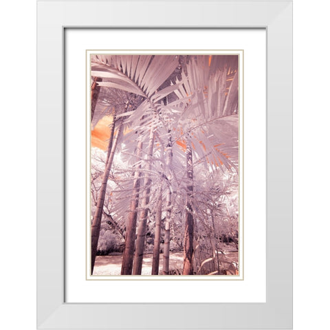USA-Hawaii-Kauai-Infrared of palm trees of Kauai White Modern Wood Framed Art Print with Double Matting by Eggers, Terry
