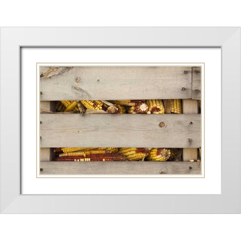 Corn in corn crib Indianapolis, Indiana, USA White Modern Wood Framed Art Print with Double Matting by Kaveney, Wendy