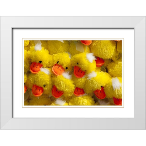 Indiana, Indianapolis Display of stuffed ducks White Modern Wood Framed Art Print with Double Matting by Kaveney, Wendy
