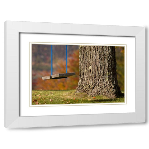 Maine, Bethel A wooden swing hangs from a tree White Modern Wood Framed Art Print with Double Matting by Kaveney, Wendy
