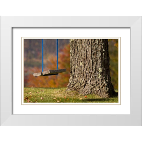 Maine, Bethel A wooden swing hangs from a tree White Modern Wood Framed Art Print with Double Matting by Kaveney, Wendy