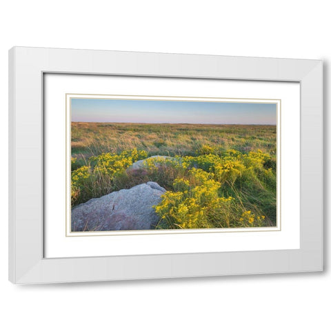 Touch the Sky Prairie southwest-Minnesota White Modern Wood Framed Art Print with Double Matting by Majchrowicz, Alan