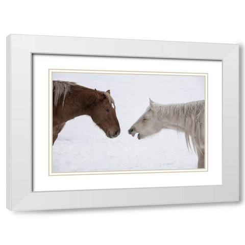 USA-Montana Gardiner Palomino and sorrel-with shaggy winter coat-nose to nose White Modern Wood Framed Art Print with Double Matting by Hopkins, Cindy Miller