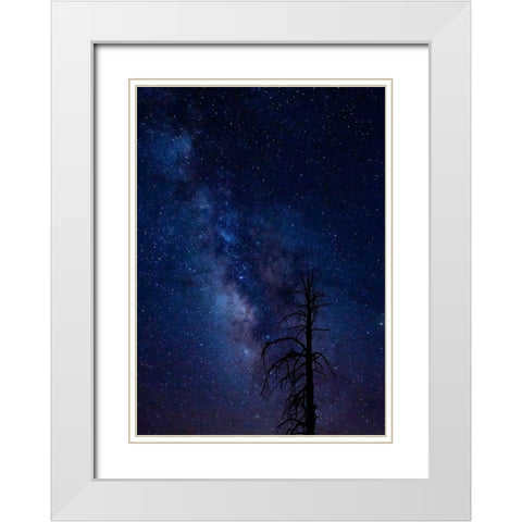 Milky way over the Carson National Forest-Tres Piedras-New Mexico White Modern Wood Framed Art Print with Double Matting by Pryor-Luzier, Maresa