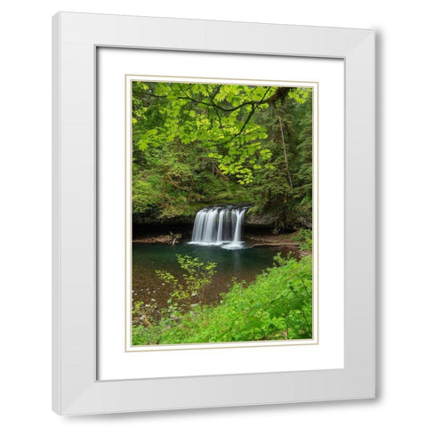 Upper Butte Creek Falls Cascade Range-Oregon White Modern Wood Framed Art Print with Double Matting by Majchrowicz, Alan
