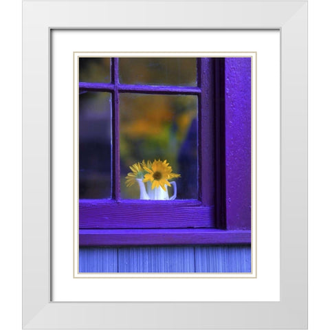 OR, Brownsville Sunflowers in a window White Modern Wood Framed Art Print with Double Matting by Terrill, Steve