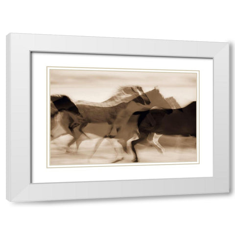 Sepia abstract of wild mustangs (Equus caballus) running Oregon-USA White Modern Wood Framed Art Print with Double Matting by Westmorland, Stuart