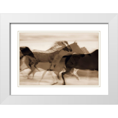 Sepia abstract of wild mustangs (Equus caballus) running Oregon-USA White Modern Wood Framed Art Print with Double Matting by Westmorland, Stuart