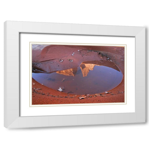 UT, Arches NP Rain puddle reflections White Modern Wood Framed Art Print with Double Matting by Illg, Cathy and Gordon