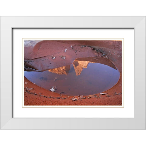 UT, Arches NP Rain puddle reflections White Modern Wood Framed Art Print with Double Matting by Illg, Cathy and Gordon
