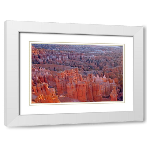 Utah, Bryce Canyon NP Sunrise at Sunset Point White Modern Wood Framed Art Print with Double Matting by Illg, Cathy and Gordon