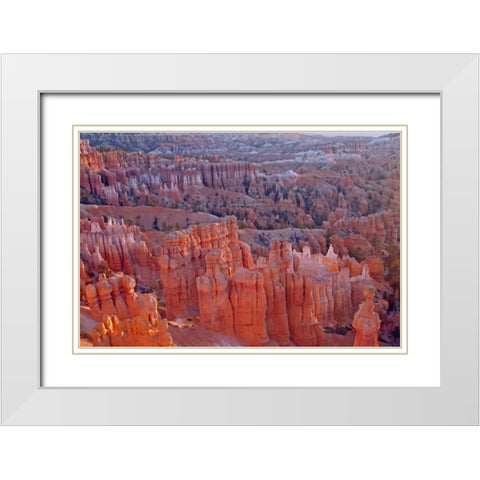 Utah, Bryce Canyon NP Sunrise at Sunset Point White Modern Wood Framed Art Print with Double Matting by Illg, Cathy and Gordon