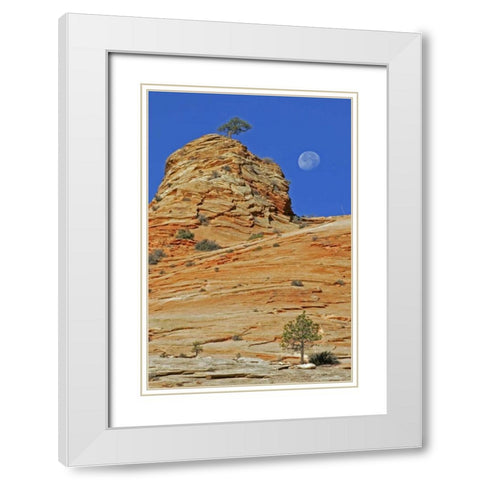 UT, Zion NP Moonset on rock formation White Modern Wood Framed Art Print with Double Matting by Illg, Cathy and Gordon