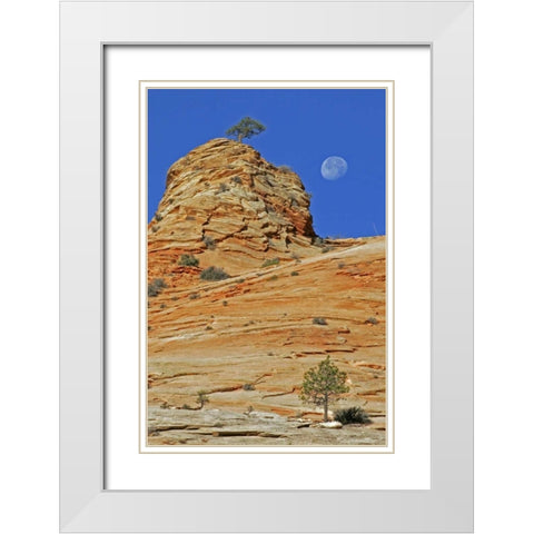 UT, Zion NP Moonset on rock formation White Modern Wood Framed Art Print with Double Matting by Illg, Cathy and Gordon