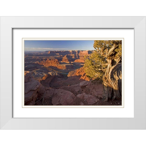 Utah, Dead Horse Point SP Sunrise on the park White Modern Wood Framed Art Print with Double Matting by Illg, Cathy and Gordon