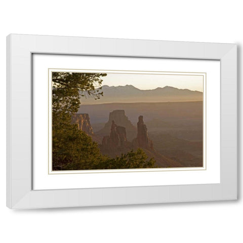 UT, Arches NP Washerwoman Arch and La Sal Mts White Modern Wood Framed Art Print with Double Matting by Illg, Cathy and Gordon