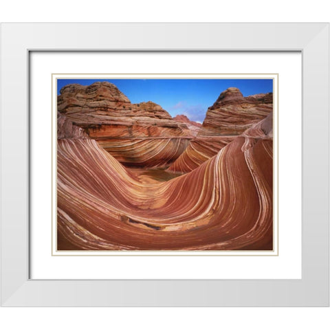 Utah, Paria Canyon The Wave formation, sandstone White Modern Wood Framed Art Print with Double Matting by Flaherty, Dennis