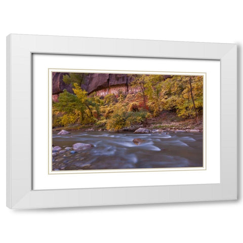 USA, Utah, Zion NP Autumn on the Virgin River White Modern Wood Framed Art Print with Double Matting by Illg, Cathy and Gordon