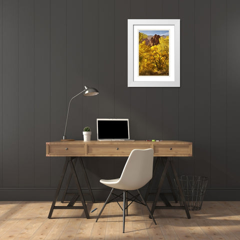 UT, Zion NP Autumn cottonwood and rock formation White Modern Wood Framed Art Print with Double Matting by Illg, Cathy and Gordon