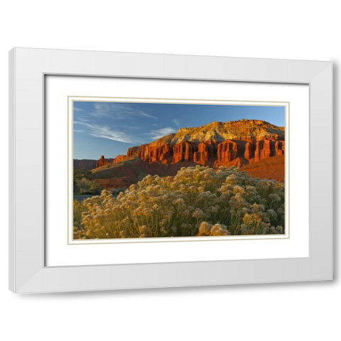UT, Capitol Reef NP Sunset of Panorama Point White Modern Wood Framed Art Print with Double Matting by Illg, Cathy and Gordon