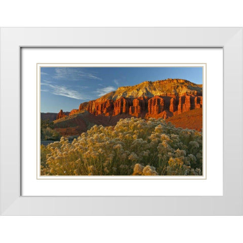 UT, Capitol Reef NP Sunset of Panorama Point White Modern Wood Framed Art Print with Double Matting by Illg, Cathy and Gordon