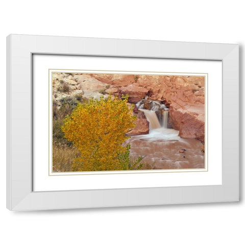 UT, Capitol Reef NP Waterfall on Fremont River White Modern Wood Framed Art Print with Double Matting by Illg, Cathy and Gordon