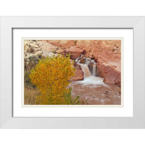 UT, Capitol Reef NP Waterfall on Fremont River White Modern Wood Framed Art Print with Double Matting by Illg, Cathy and Gordon