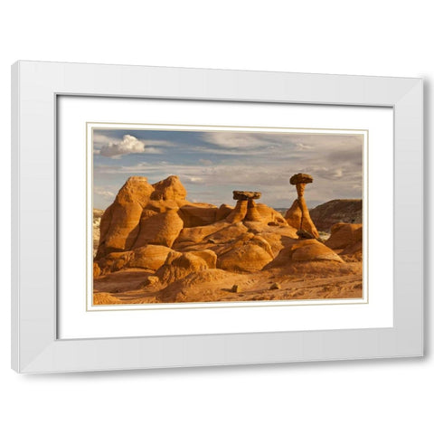 UT, Grand Staircase Escalante NM Toadstools White Modern Wood Framed Art Print with Double Matting by Illg, Cathy and Gordon