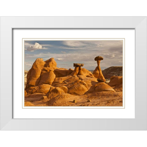 UT, Grand Staircase Escalante NM Toadstools White Modern Wood Framed Art Print with Double Matting by Illg, Cathy and Gordon