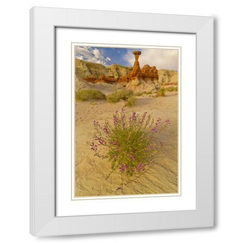 UT, Grand Staircase Escalante NM Flowers scenic White Modern Wood Framed Art Print with Double Matting by Illg, Cathy and Gordon
